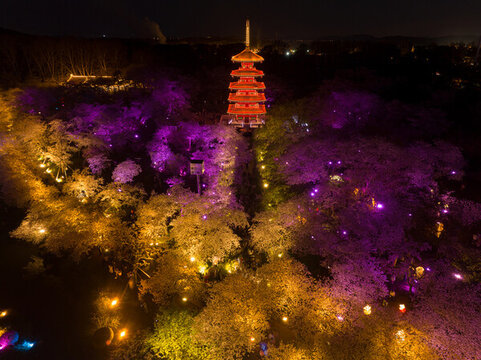 武漢東湖磨山櫻花園夜景風(fēng)光