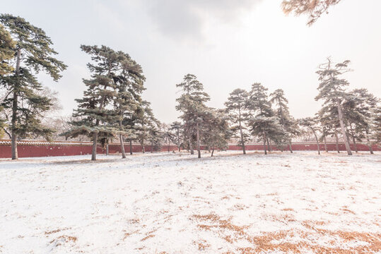 冬天雪后沈陽北陵公園風景