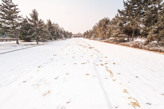 冬天雪后沈陽北陵公園風(fēng)景