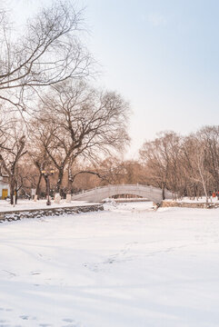 冬天雪后沈陽(yáng)北陵公園風(fēng)景
