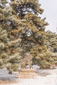 雪后沈陽北陵公園的道路樹林