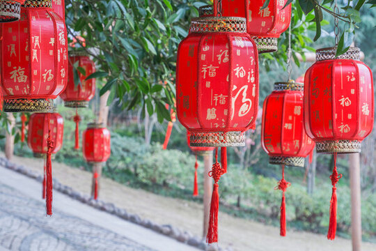公園里的紅燈籠林蔭道和櫻花