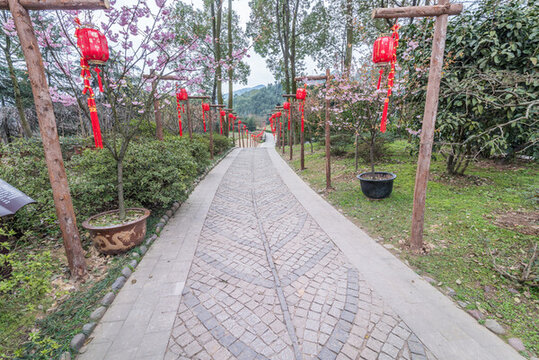 公園里的紅燈籠林蔭道和櫻花