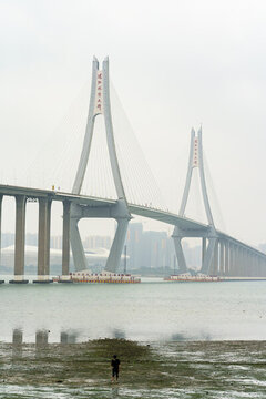 湛江城市風(fēng)光