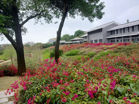簕杜鵑谷公園