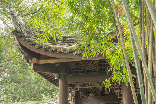 春天中國成都的杜甫草堂