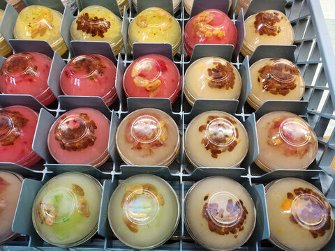 缽仔糕