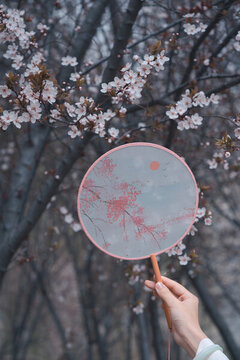 古風(fēng)人物和鮮花