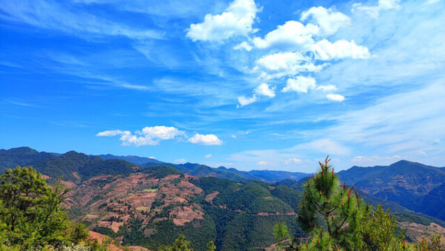 來(lái)自高山原野的愛(ài)意