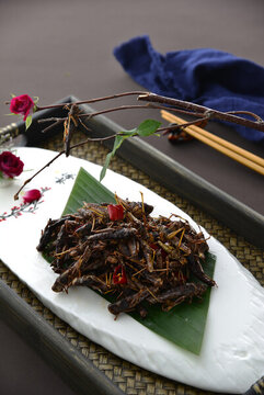 生態(tài)螞蚱