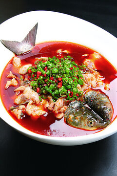 鮮椒魚