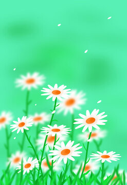 小雛菊壁紙插畫