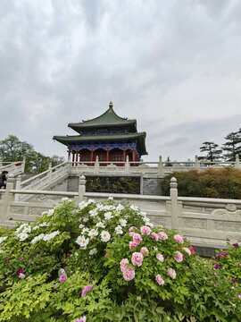 花開沉香亭