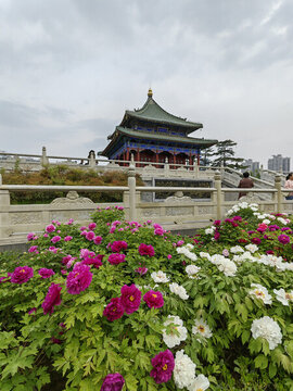 花開沉香亭