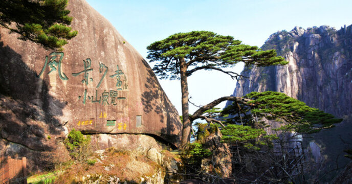 黃山迎客松全景