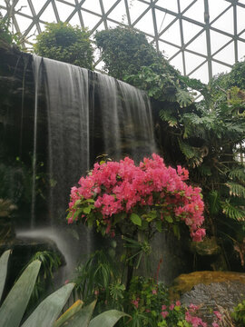 上海辰山植物園溫室景觀園林