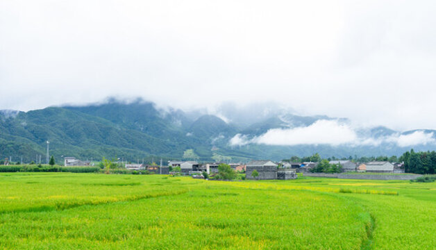 鄉(xiāng)村風(fēng)光