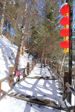 東北雪鄉(xiāng)
