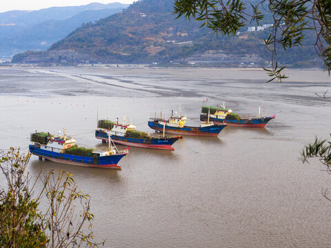 寧德市霞浦縣北岐灘涂