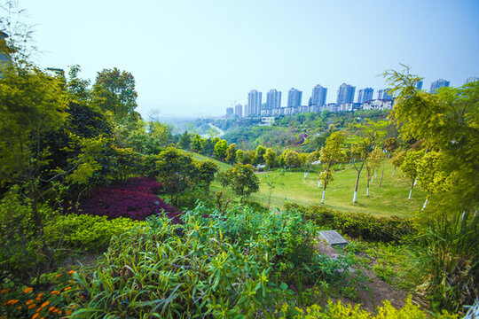 城市公園