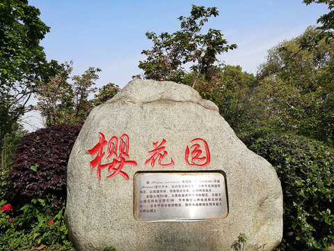 櫻花園