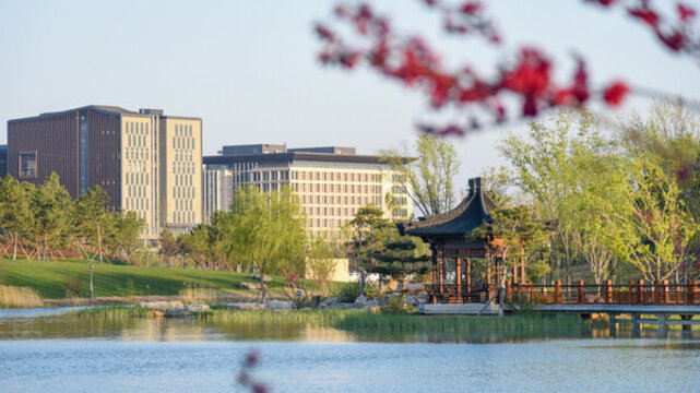 雄安新區(qū)悅容公園春色