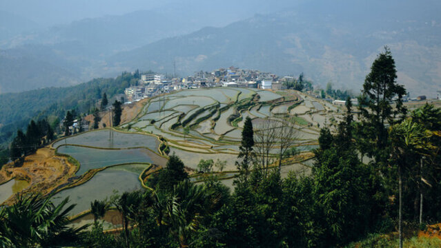 紅河甲寅梯田