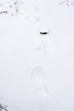 雪地腳印