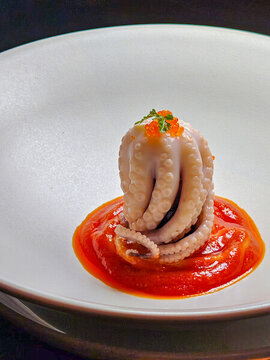 八爪魚(yú)