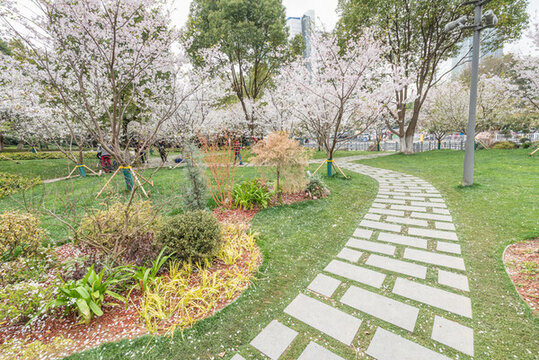 櫻花季南京的玄武湖公園
