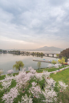 櫻花季南京的玄武湖公園