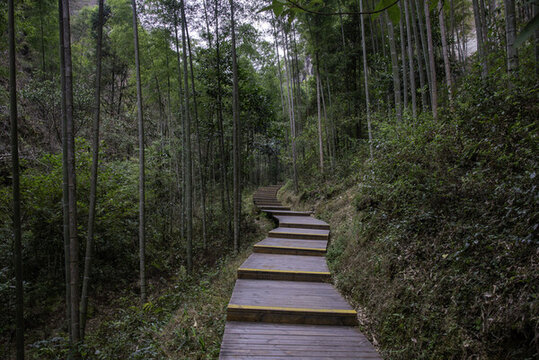 福建省泰寧縣寨下大峽谷