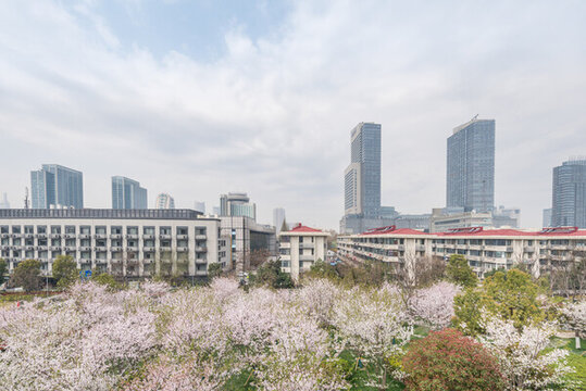 櫻花季中國南京的城市風(fēng)景