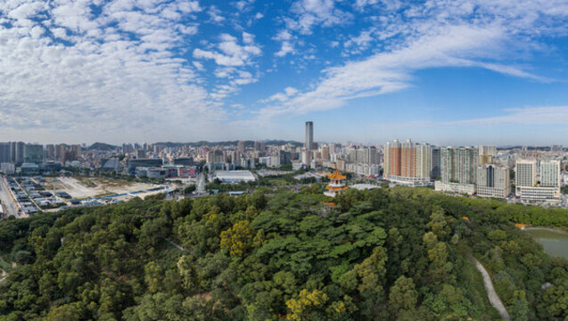 虎門鎮(zhèn)全景