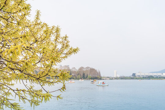 春天南京玄武湖公園風(fēng)光