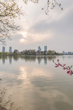 春天南京玄武湖公園風光