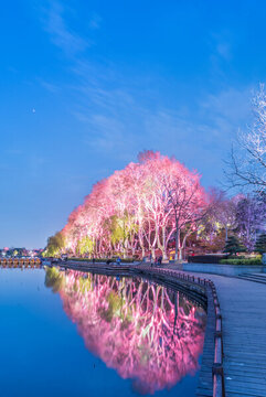 南京玄武湖公園夜景