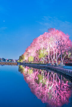 南京玄武湖公園夜景