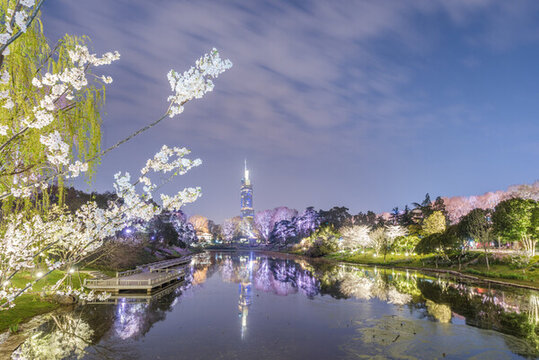 南京玄武湖公園夜景