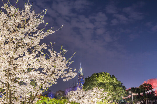 南京玄武湖公園夜景