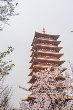 南京牛首山的櫻花和古建筑