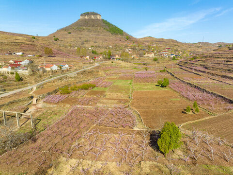 蒙陰岱崮地貌桃花節(jié)