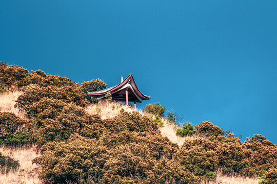 山頂?shù)耐ぷ? loading=