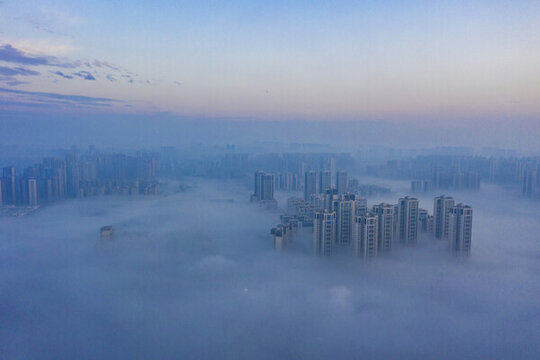 霧中的城市