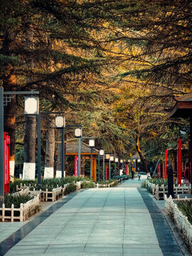 公園走廊