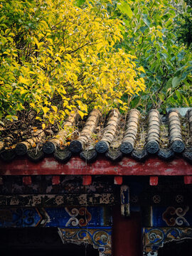 古建陽光