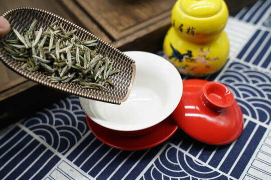 獨芽白茶大白茶