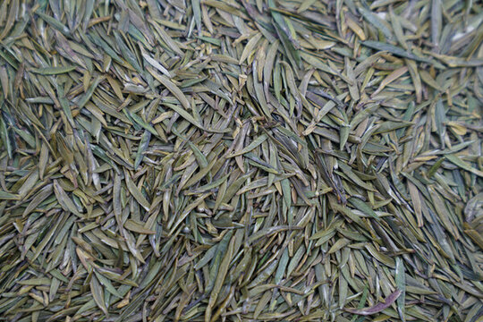 茶干茶葉翠芽雀舌高清素材
