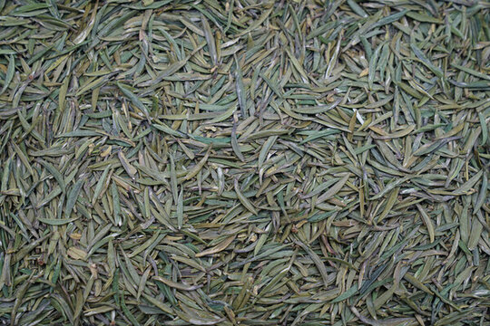 翠芽特寫雀舌特寫干茶綠茶