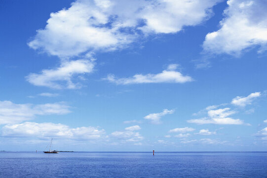 海岸線